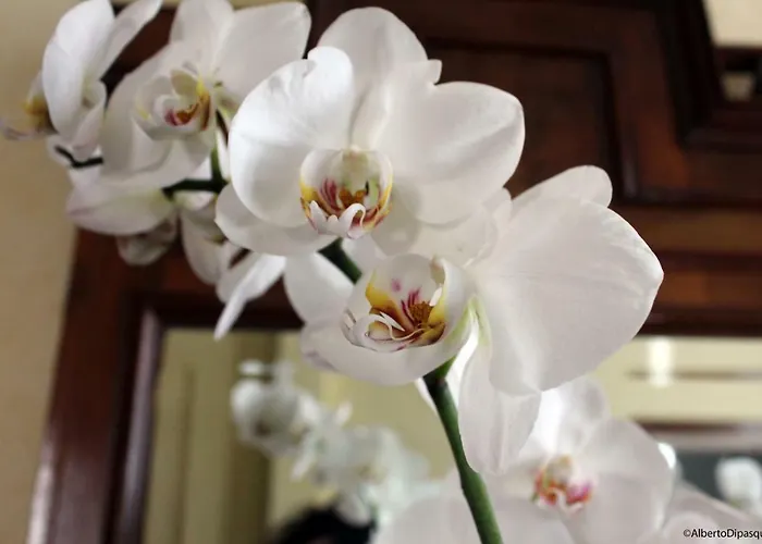 Bed & Breakfast La Sosta Fuori Stazione 3*